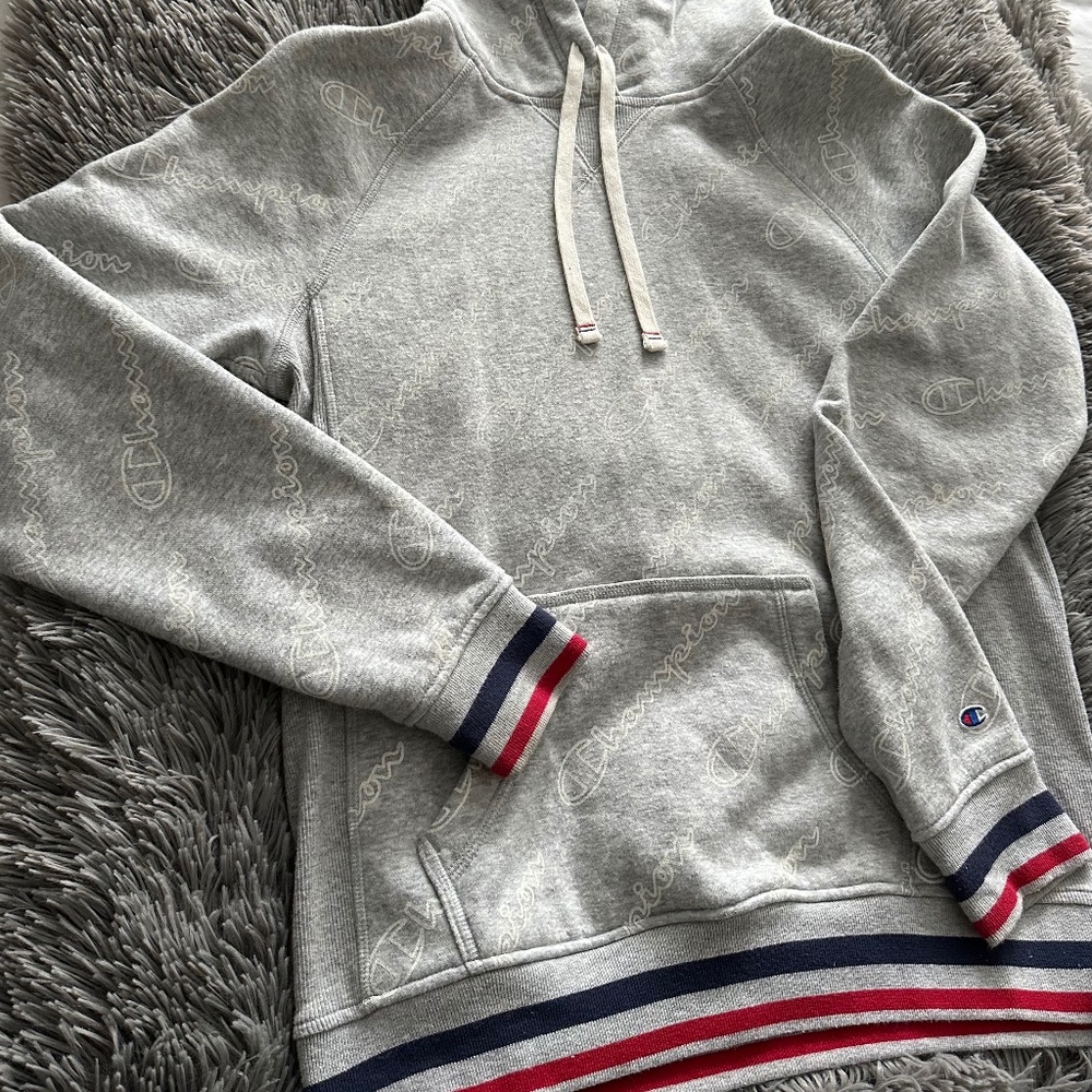 Champion logo hooded sweatshirt size small hoodie NWOT